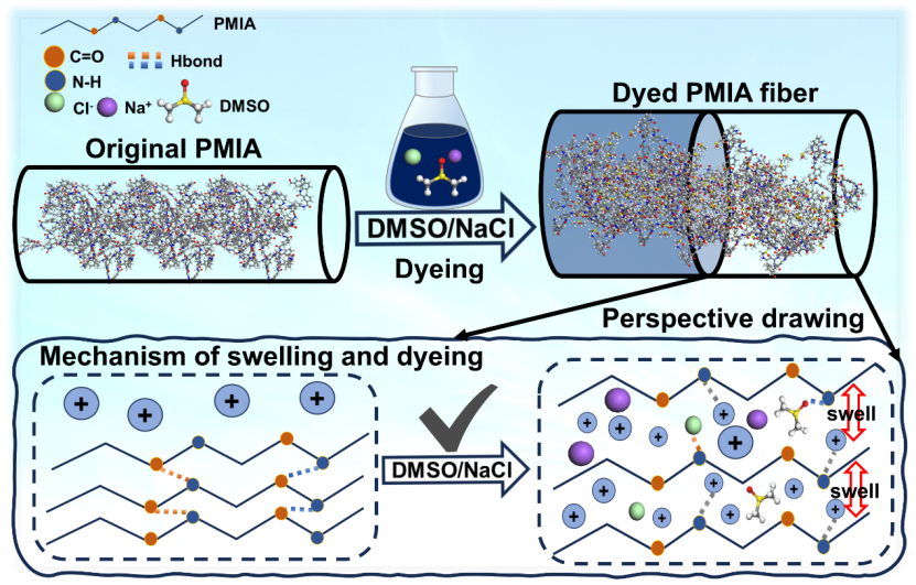 江南大学《Adv. Sci.》：DMSO/NaCl协同调控间位芳纶晶体结构，实现间位芳纶纤维染色性能新突破